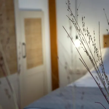 Angestrale Wood * Lefkáda